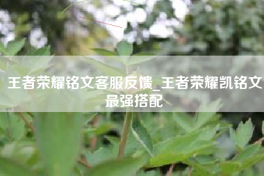 王者荣耀铭文客服反馈_王者荣耀凯铭文最强搭配