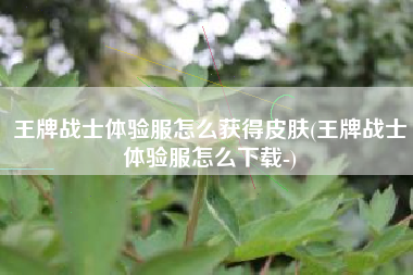 王牌战士体验服怎么获得皮肤(王牌战士体验服怎么下载-)