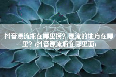 抖音漂流瓶在哪里捞？漂流的地方在哪里？(抖音漂流瓶在哪里面)