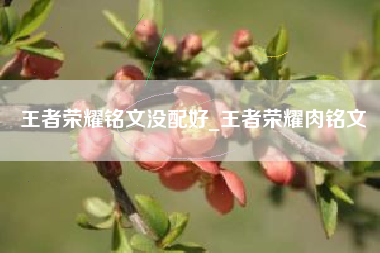 王者荣耀铭文没配好_王者荣耀肉铭文