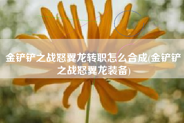 金铲铲之战怒翼龙转职怎么合成(金铲铲之战怒翼龙装备)