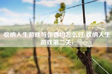 收纳人生游戏与你香约怎么过(收纳人生游戏第二关)
