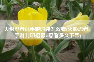 火影忍者OL手游时装怎么看(火影忍者ol手游封印招募ss忍者多久下架)