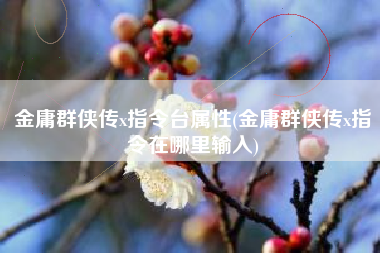 金庸群侠传x指令台属性(金庸群侠传x指令在哪里输入)