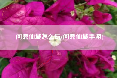 问鼎仙域怎么玩(问鼎仙域手游)