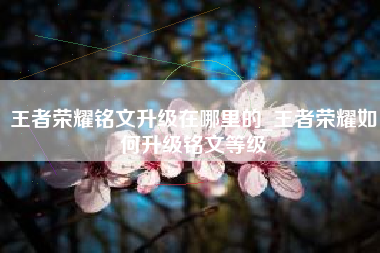 王者荣耀铭文升级在哪里的_王者荣耀如何升级铭文等级