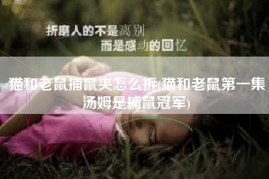 猫和老鼠捕鼠夹怎么拆(猫和老鼠第一集汤姆是捕鼠冠军)