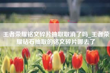 王者荣耀铭文碎片抽取取消了吗_王者荣耀钻石抽取的铭文碎片哪去了