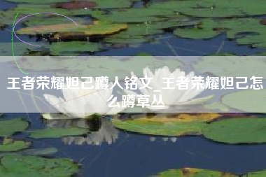 王者荣耀妲己蹲人铭文_王者荣耀妲己怎么蹲草丛