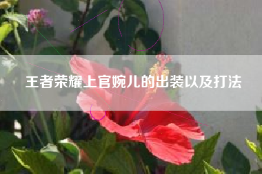 王者荣耀上官婉儿的出装以及打法