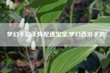 梦幻手游天阵配速宝宝,梦幻西游手游