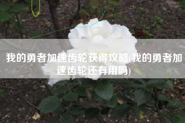 我的勇者加速齿轮获得攻略(我的勇者加速齿轮还有用吗)