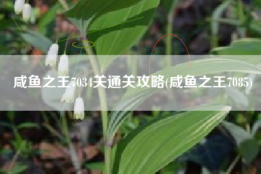 咸鱼之王7034关通关攻略(咸鱼之王7085)