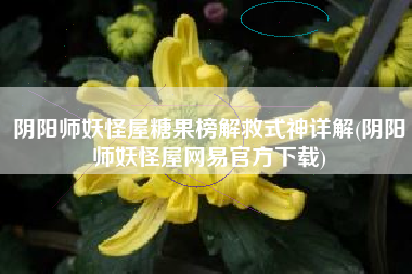 阴阳师妖怪屋糖果榜解救式神详解(阴阳师妖怪屋网易官方下载)