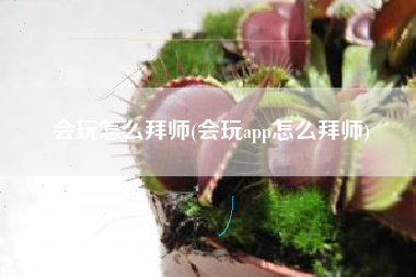 会玩怎么拜师(会玩app怎么拜师)