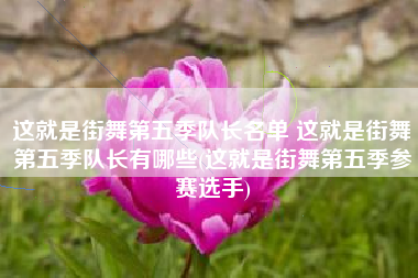 这就是街舞第五季队长名单 这就是街舞第五季队长有哪些(这就是街舞第五季参赛选手)