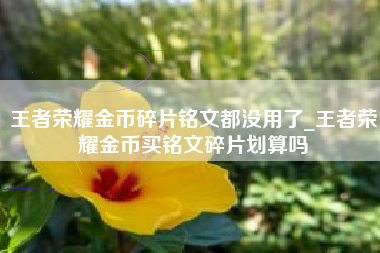 王者荣耀金币碎片铭文都没用了_王者荣耀金币买铭文碎片划算吗