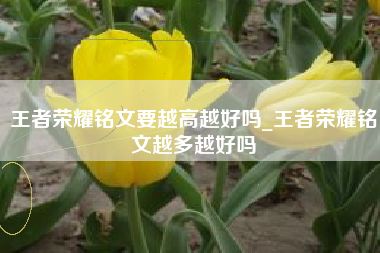 王者荣耀铭文要越高越好吗_王者荣耀铭文越多越好吗