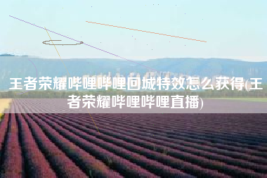王者荣耀哔哩哔哩回城特效怎么获得(王者荣耀哔哩哔哩直播)