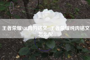 王者荣耀S28肉的铭文_王者荣耀纯肉铭文怎么配