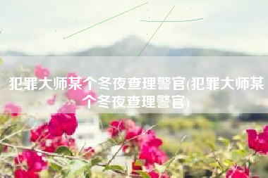 犯罪大师某个冬夜查理警官(犯罪大师某个冬夜查理警官)