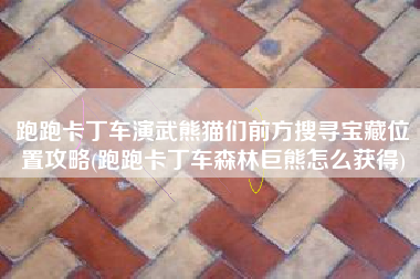 跑跑卡丁车演武熊猫们前方搜寻宝藏位置攻略(跑跑卡丁车森林巨熊怎么获得)