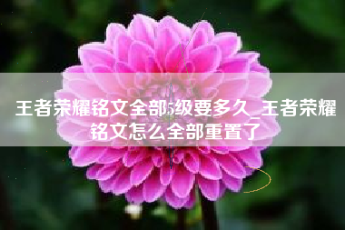 王者荣耀铭文全部5级要多久_王者荣耀铭文怎么全部重置了