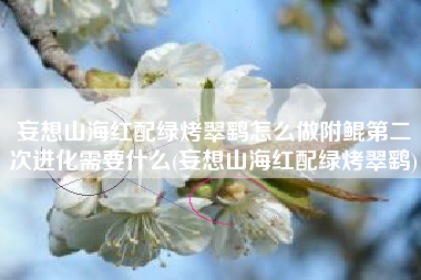 妄想山海红配绿烤翠鹞怎么做附鲲第二次进化需要什么(妄想山海红配绿烤翠鹞)