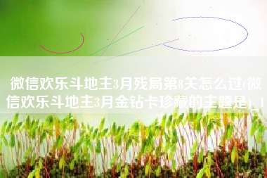 微信欢乐斗地主3月残局第8关怎么过(微信欢乐斗地主3月金钻卡珍藏的主题是)_1
