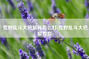 荒野乱斗大巴黎杯怎么打(荒野乱斗大巴黎雪梨)