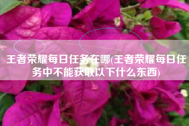 王者荣耀每日任务在哪(王者荣耀每日任务中不能获取以下什么东西)