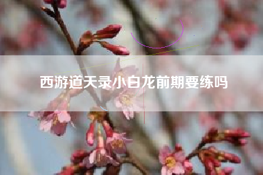西游道天录小白龙前期要练吗