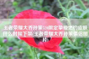 王者荣耀大乔孙策520限定挚爱之约皮肤什么时候下架(王者荣耀大乔孙策情侣图片)