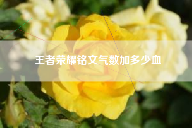 王者荣耀铭文气数加多少血