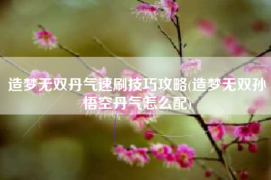 造梦无双丹气速刷技巧攻略(造梦无双孙悟空丹气怎么配)