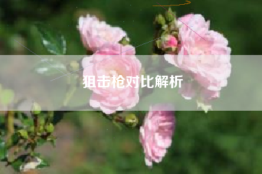 狙击枪对比解析