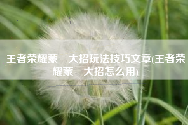 王者荣耀蒙犽大招玩法技巧文章(王者荣耀蒙犽大招怎么用)
