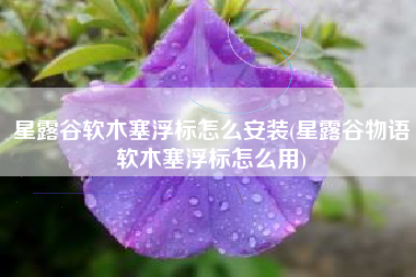 星露谷软木塞浮标怎么安装(星露谷物语软木塞浮标怎么用)