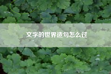 文字的世界造句怎么过