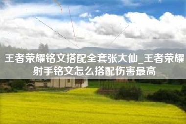 王者荣耀铭文搭配全套张大仙_王者荣耀射手铭文怎么搭配伤害最高