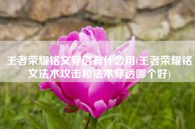 王者荣耀铭文穿透有什么用(王者荣耀铭文法术攻击和法术穿透哪个好)