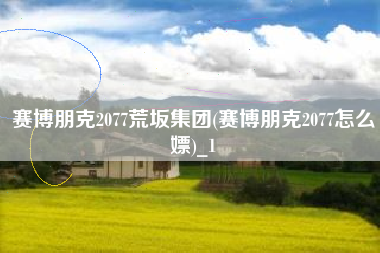 赛博朋克2077荒坂集团(赛博朋克2077怎么嫖)_1