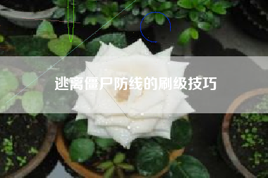 逃离僵尸防线的刷级技巧