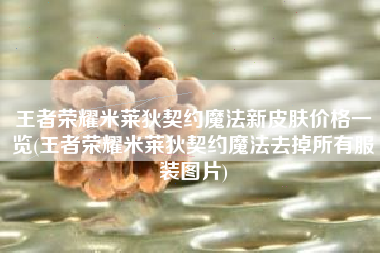王者荣耀米莱狄契约魔法新皮肤价格一览(王者荣耀米莱狄契约魔法去掉所有服装图片)