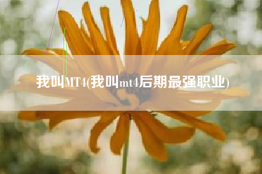 我叫MT4(我叫mt4后期最强职业)