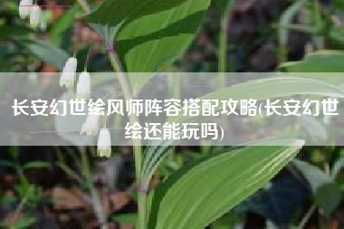 长安幻世绘风师阵容搭配攻略(长安幻世绘还能玩吗)