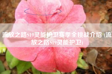 流放之路S19灵能护卫赛季全挑战介绍 (流放之路S19灵能护卫)
