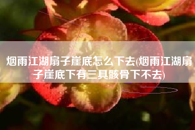 烟雨江湖扇子崖底怎么下去(烟雨江湖扇子崖底下有三具骸骨下不去)
