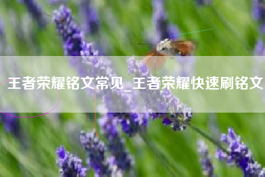 王者荣耀铭文常见_王者荣耀快速刷铭文