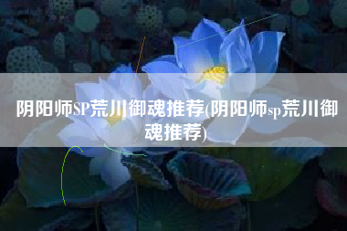 阴阳师SP荒川御魂推荐(阴阳师sp荒川御魂推荐)